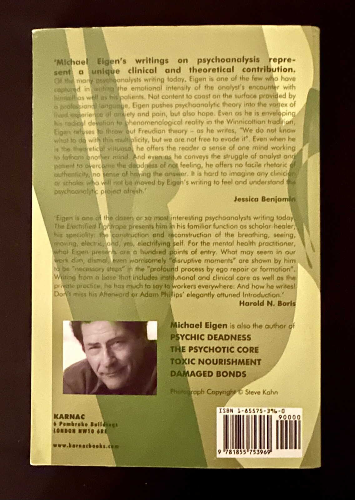 The Electrified Tightrope by Michael Eigen 2004 1st UK Paperback VG Condition