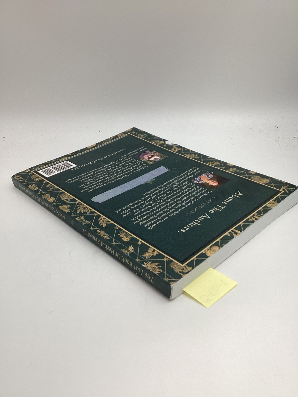 Lost Book Of Herbal Remedies The Healing Power Of Plant Medicine Apelian Davis