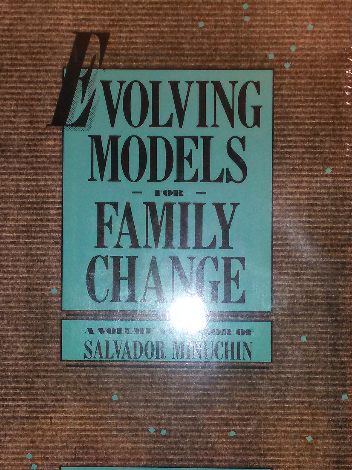 Evolving Models for Family Change: A Volume in Honor of Salvador Minuchin