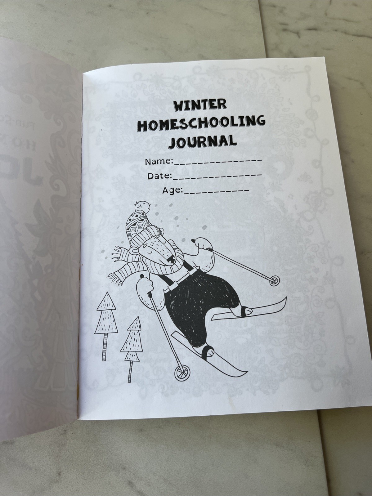 Fun-Schooling for Boys – Winter Homeschooling Journal : This 60 Day…