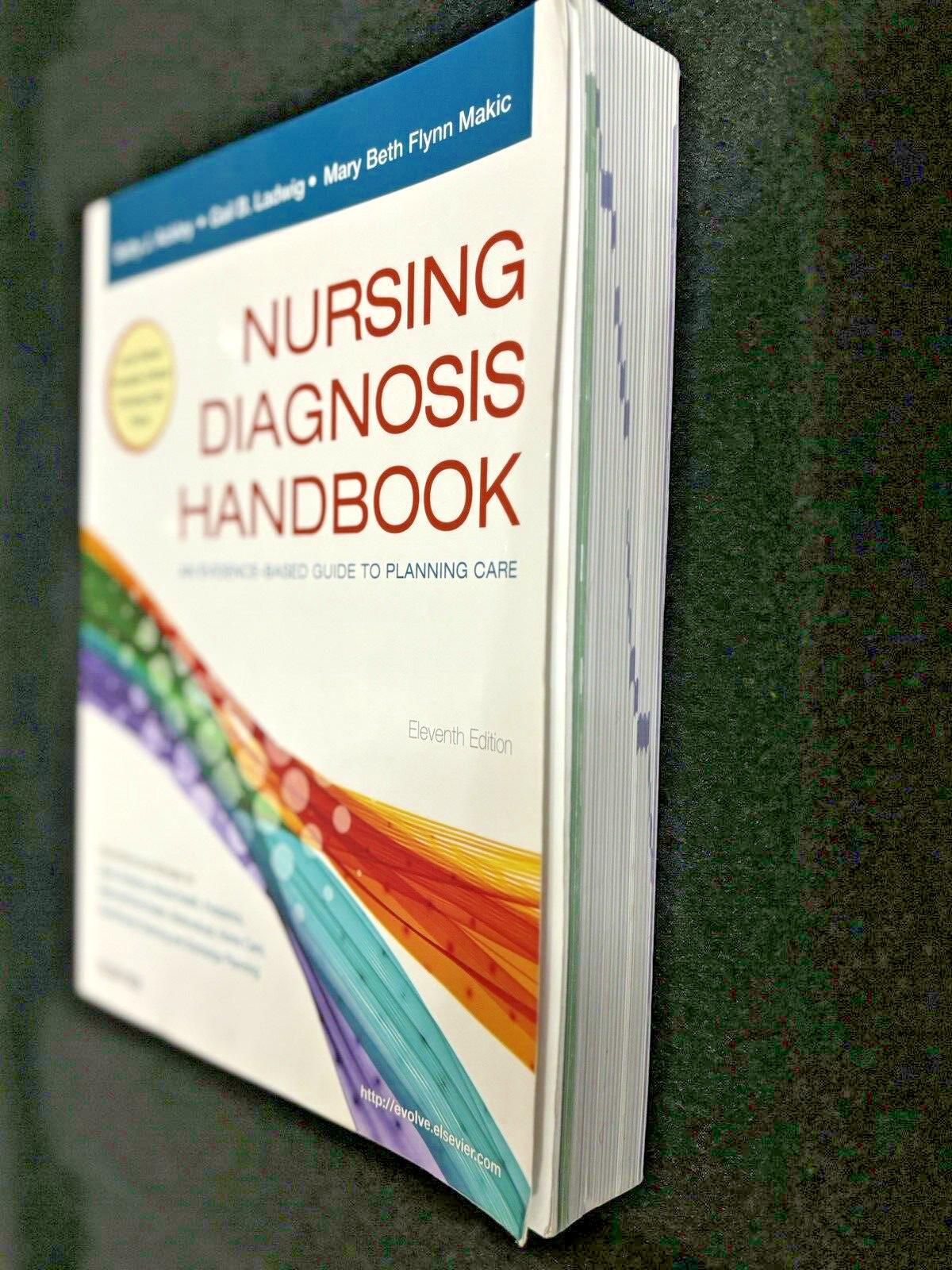 Nursing Diagnosis Handbook: An Evidence-Based Guide to Planning Care 11th Gail B