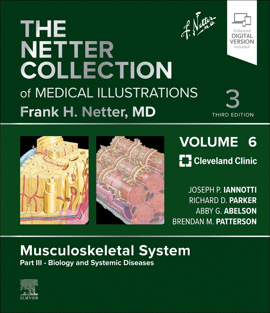 The Netter Collection of Medical Illustrations: Musculoskeletal System, Volume