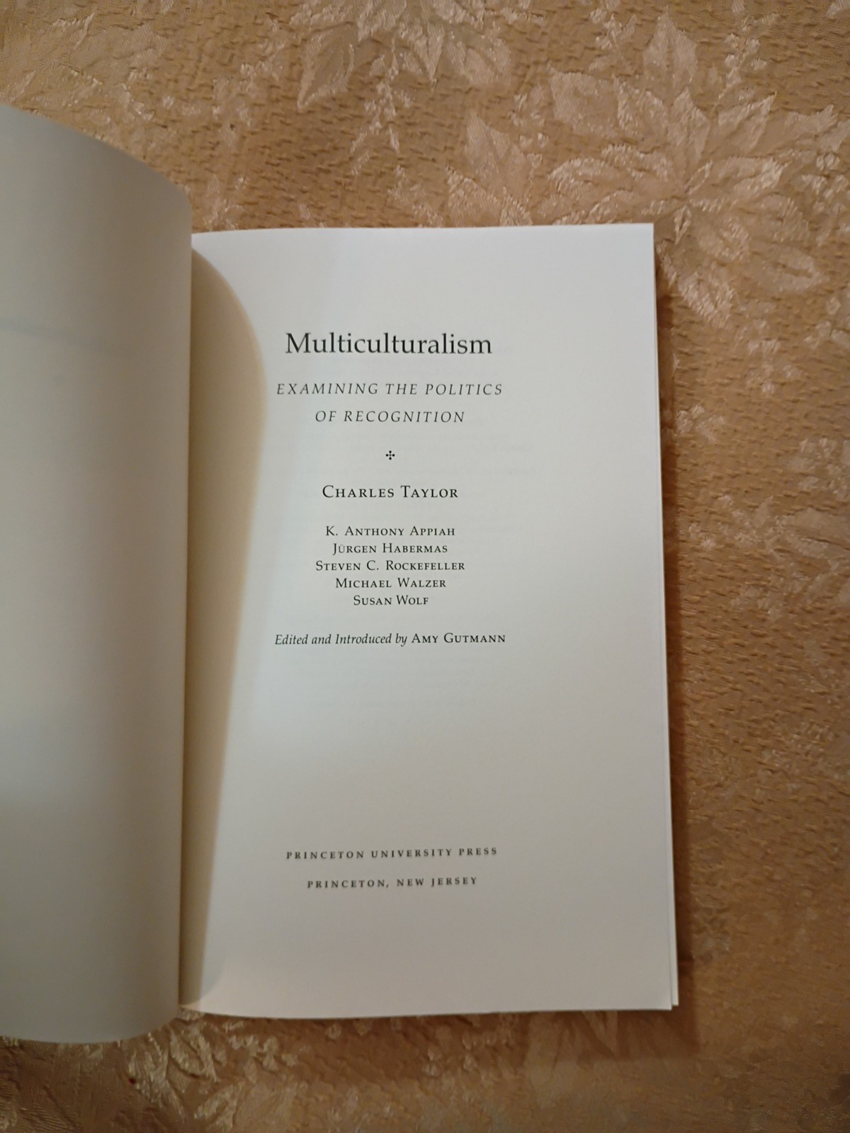 1994 Multiculturalism Charles Taylor Amy Gutmann Expanded Paperback Princeton