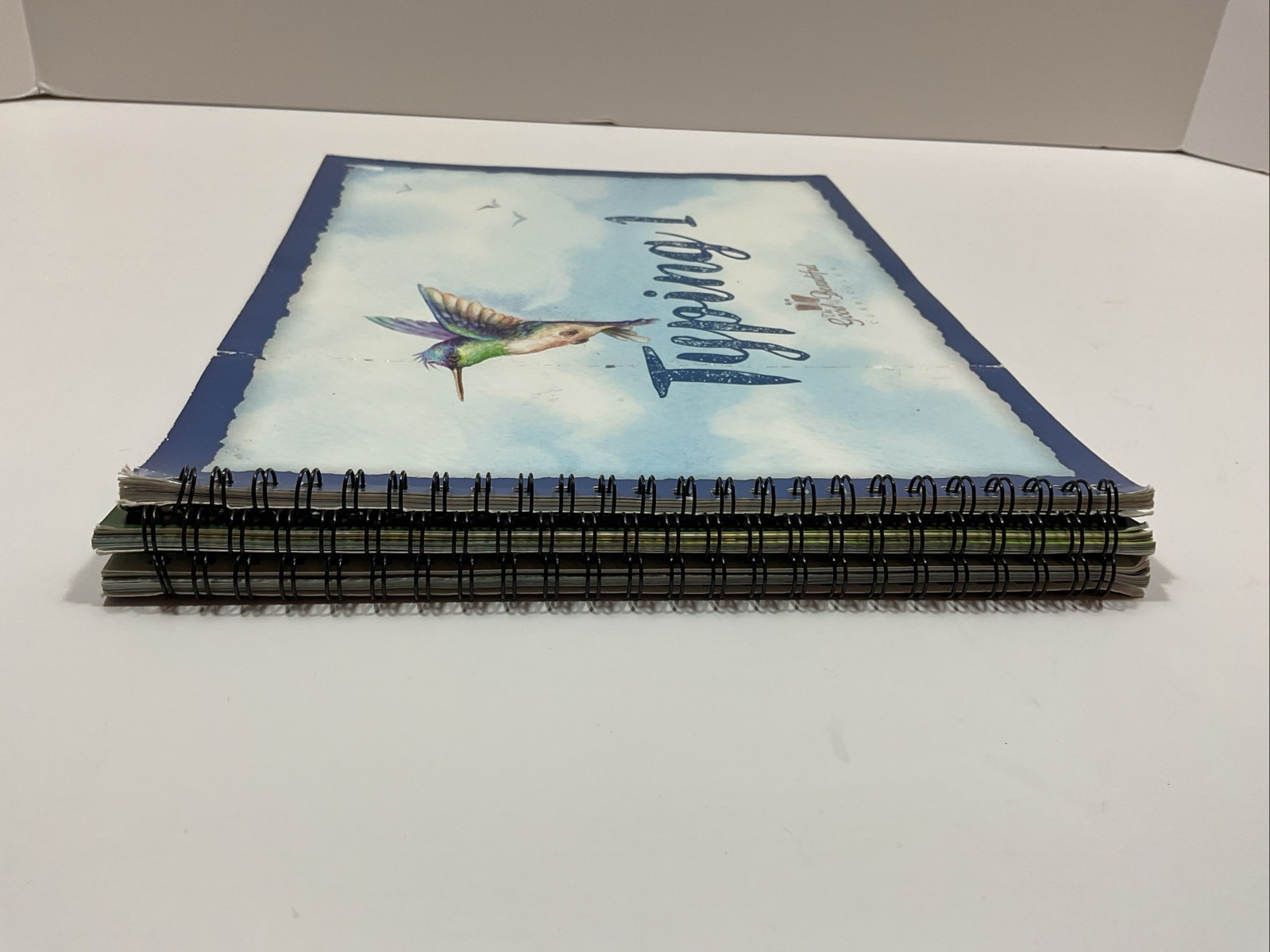 Jenny Phillips Homeschool Typing Books 1-3 Spiral Bound Trade Paperback