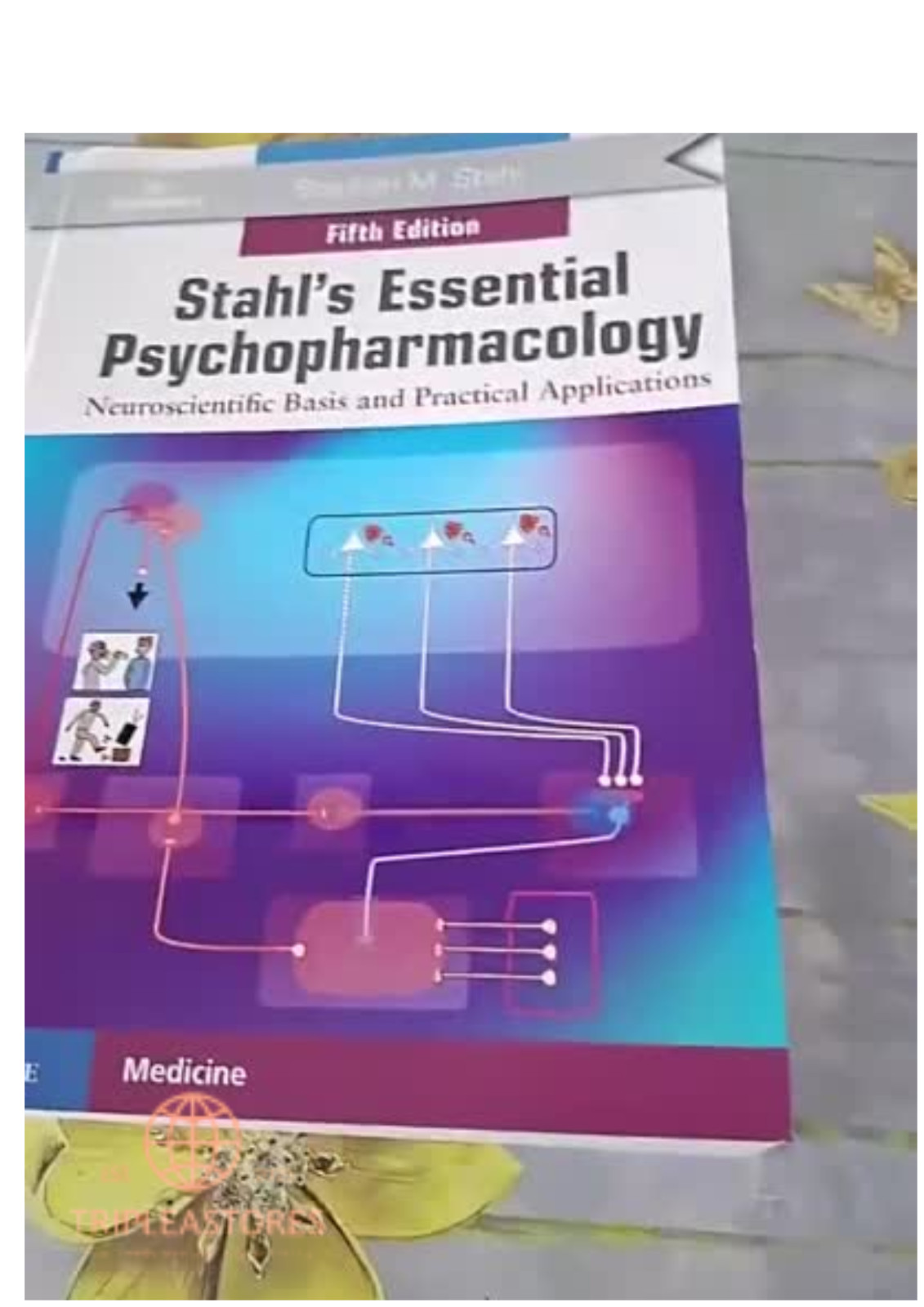 Stahl’s Essential Psychopharmacology: Neuroscientific Basis – 5th Edition