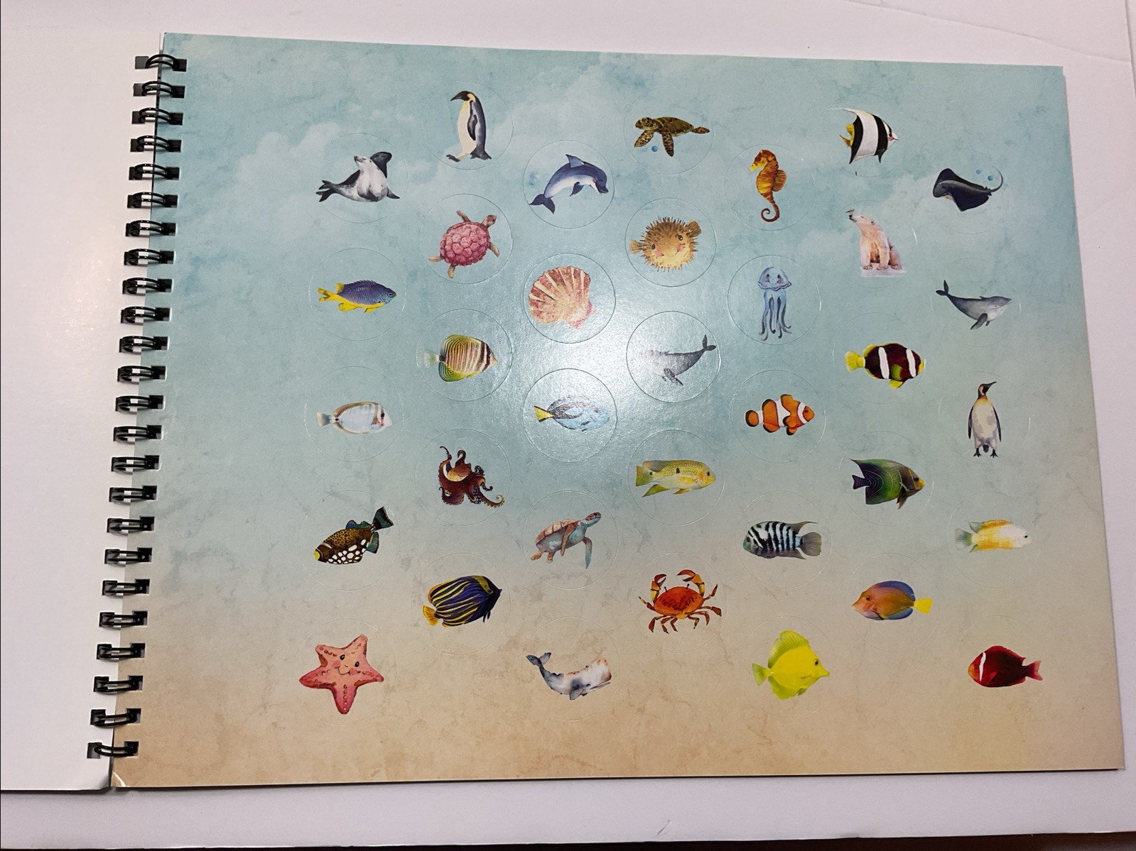 Jenny Phillips Homeschool Typing Books 1-3 Spiral Bound Trade Paperback