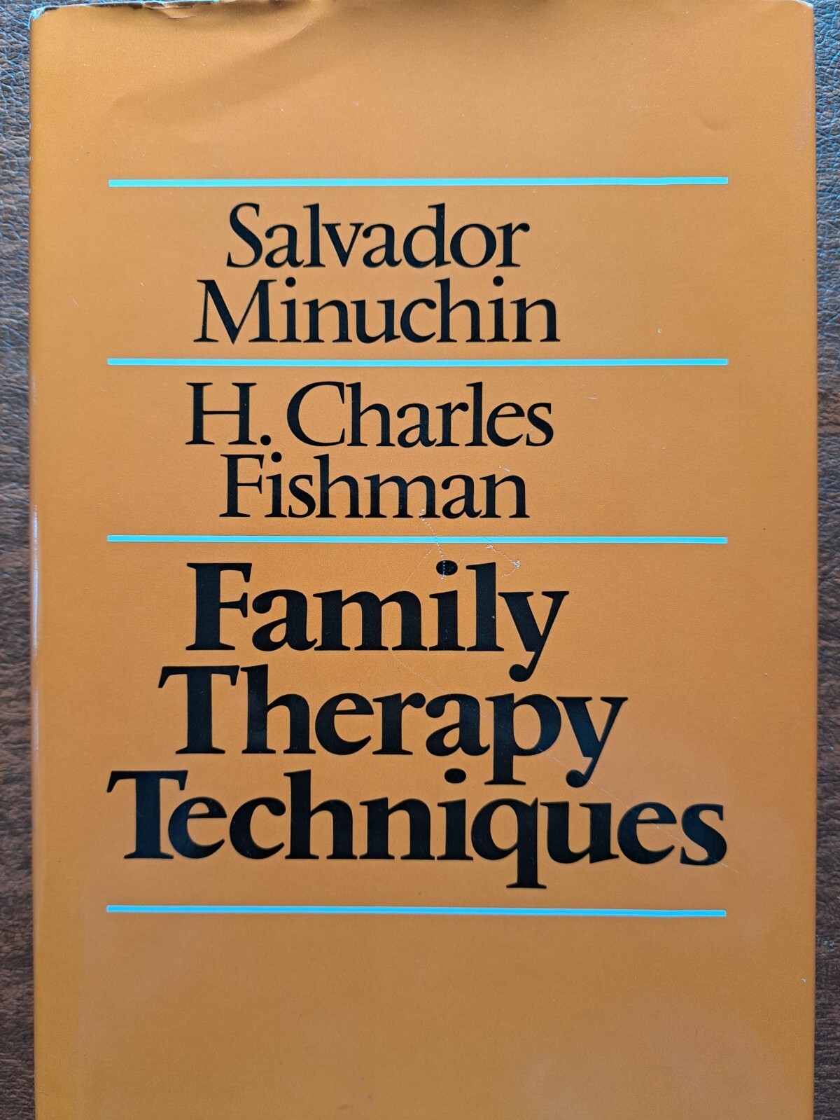 Family Therapy Techniques by H. Charles Fishman and Salvador Minuchin (1981)
