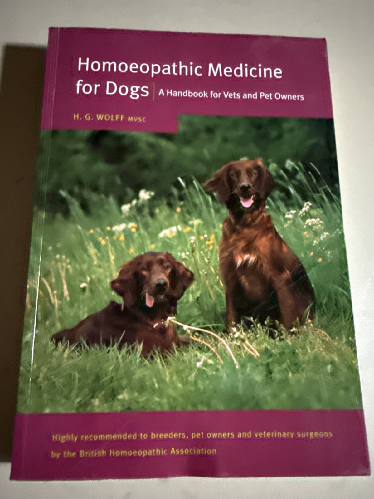 HOMOEOPATHIC MEDICINE FOR DOGS: A HANDBOOK FOR VETS Pet Owners By Wolff 1998 PB