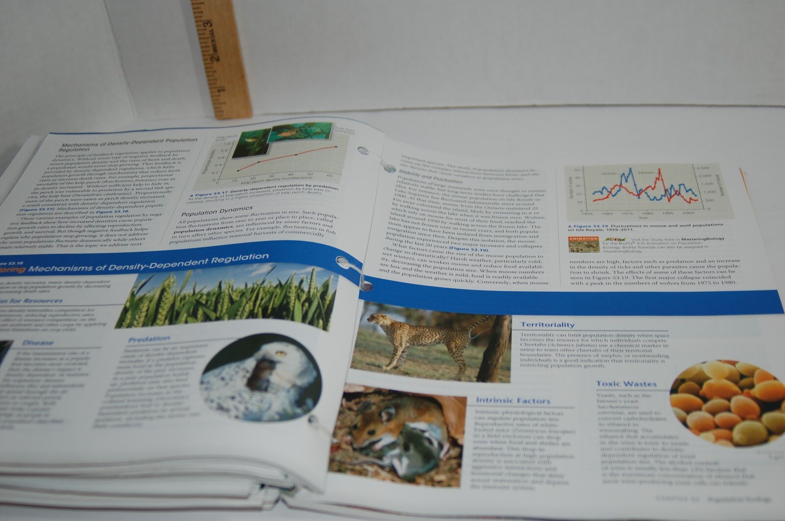 Campbell Biology 10th Edition Binder-ready Looseleaf Textbook Pearson A La Carte