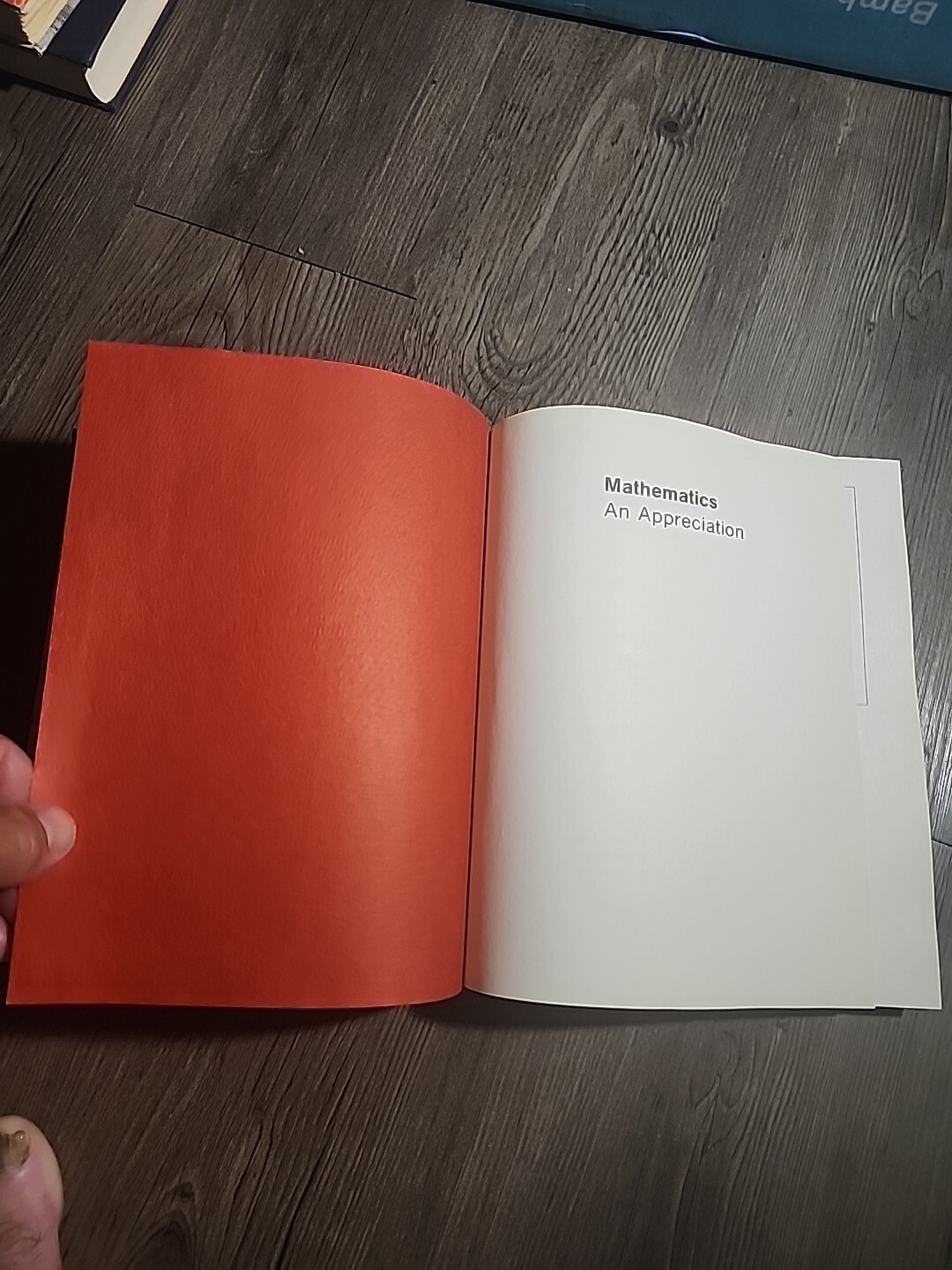 Mathematics An Appreciation Michael Bernkopf Hardcover 1975