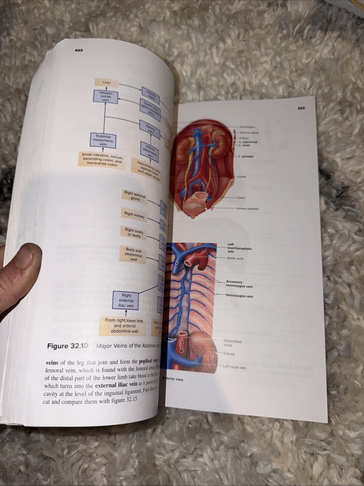 Seeley’s Anatomy & Physiology- Laboratory Manual- 13th Edition Spiral Paperback