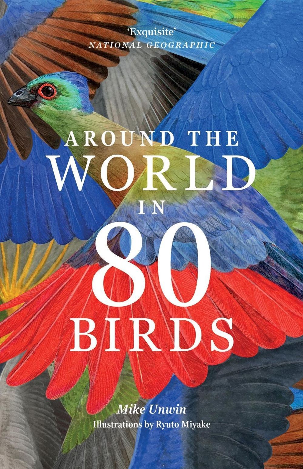 Around the World in 80 Birds by Mike Unwin Paperback Book