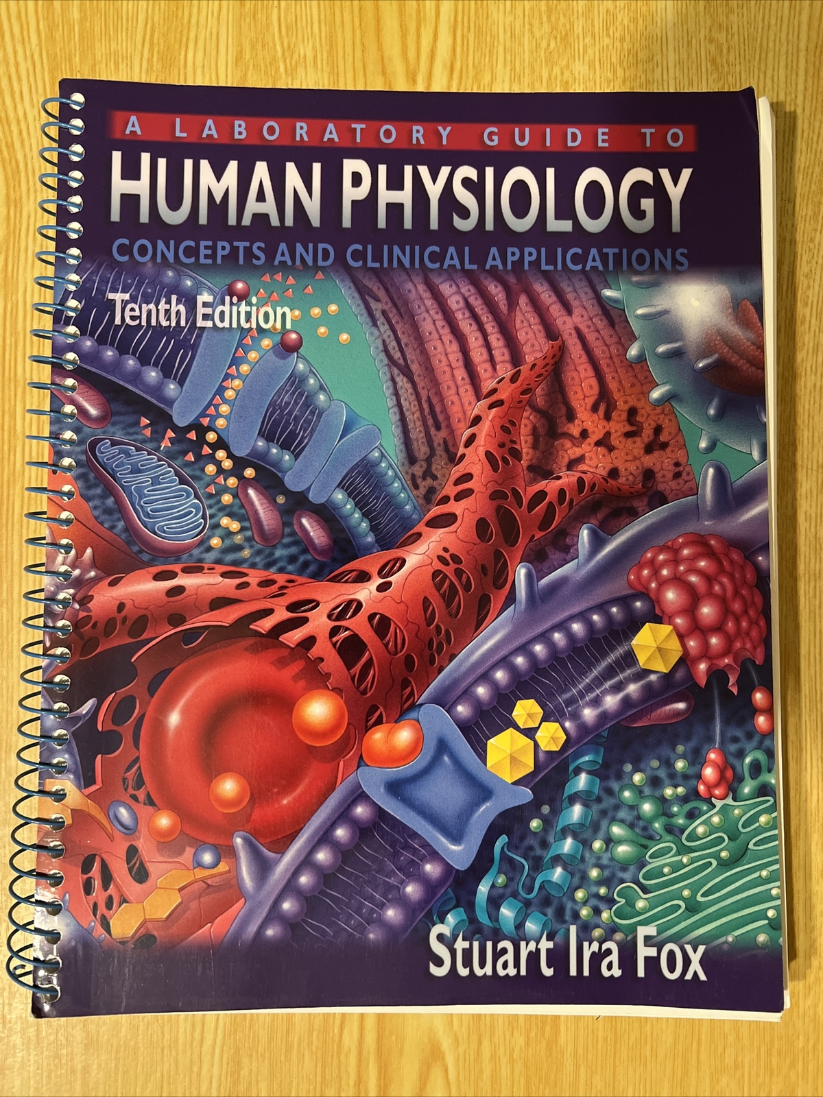 A Laboratory Guide to Human Physiology : Concepts and Clinical Applications…