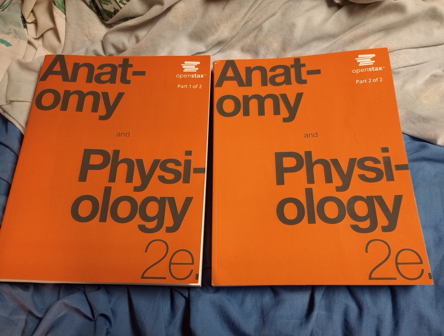 Anatomy & Physiology 2e Books 1 & 2 Set of 2 Textbooks Paper Back Like New Cond