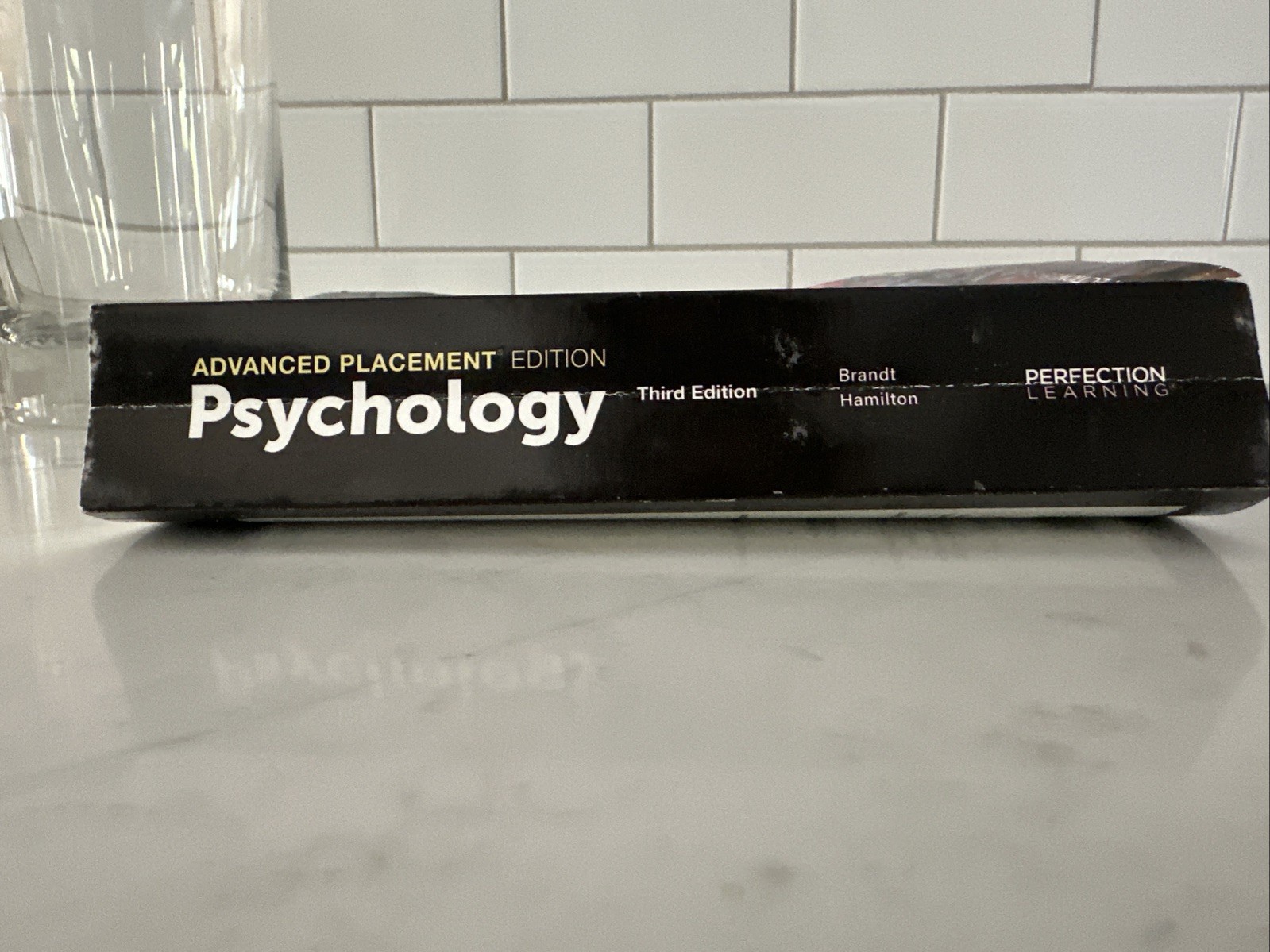 Advanced Placement Psychology, 3rd Edition (AMSCO PUBLICATION) by Brandt