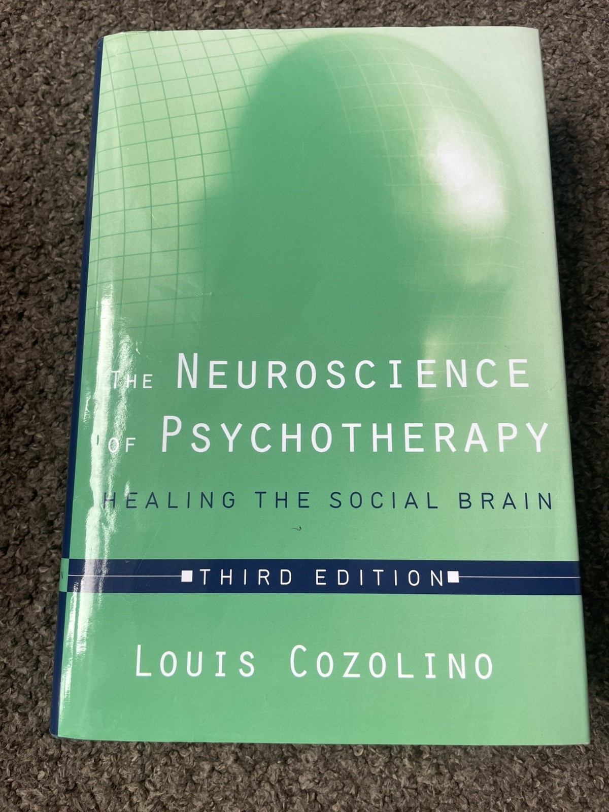 The Neuroscience of Psychotherapy: H…, Louis Cozolino…
