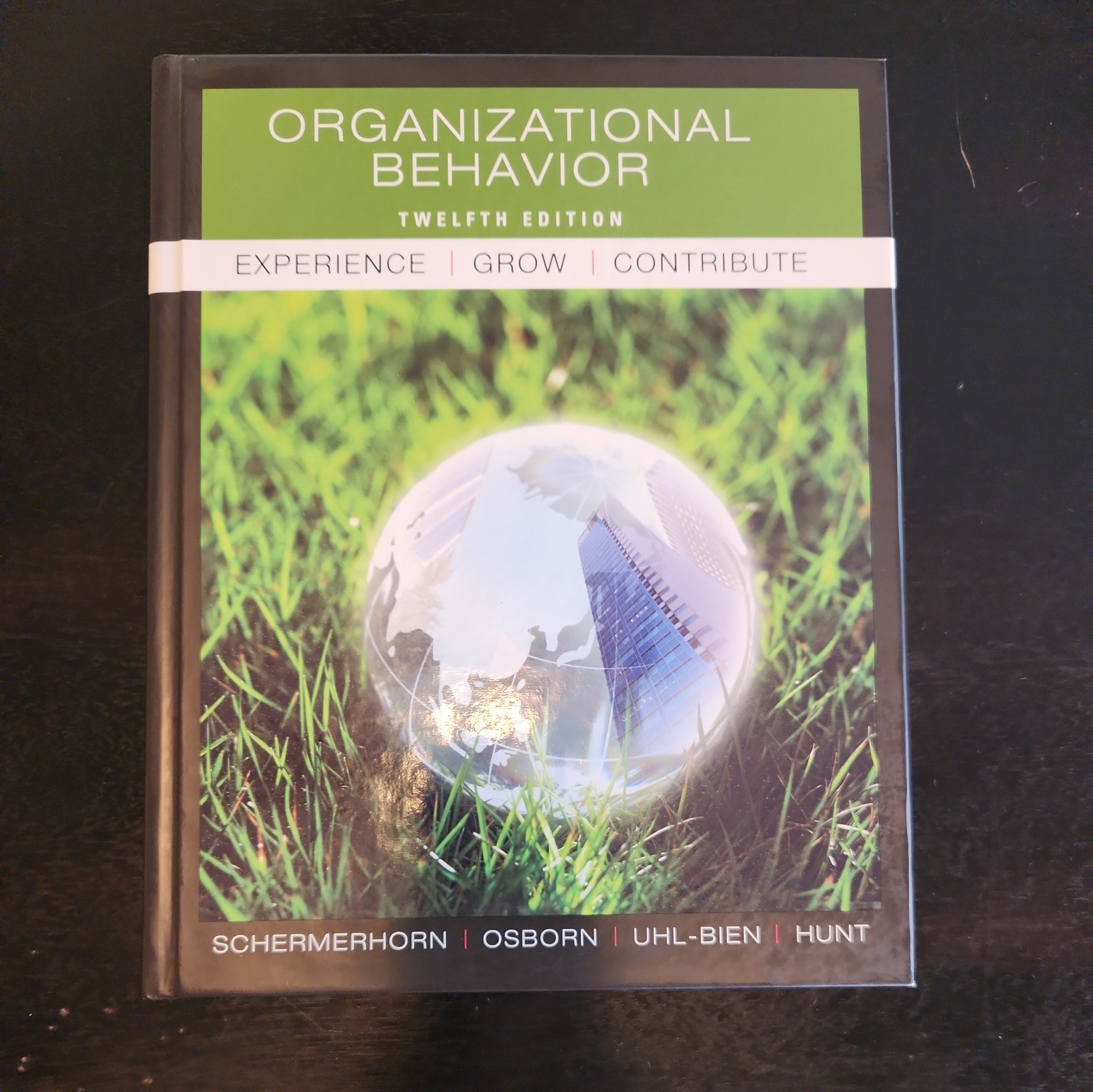 Organizational Behavior by Richard N. Osborn, John R. Schermerhorn Jr., James G.