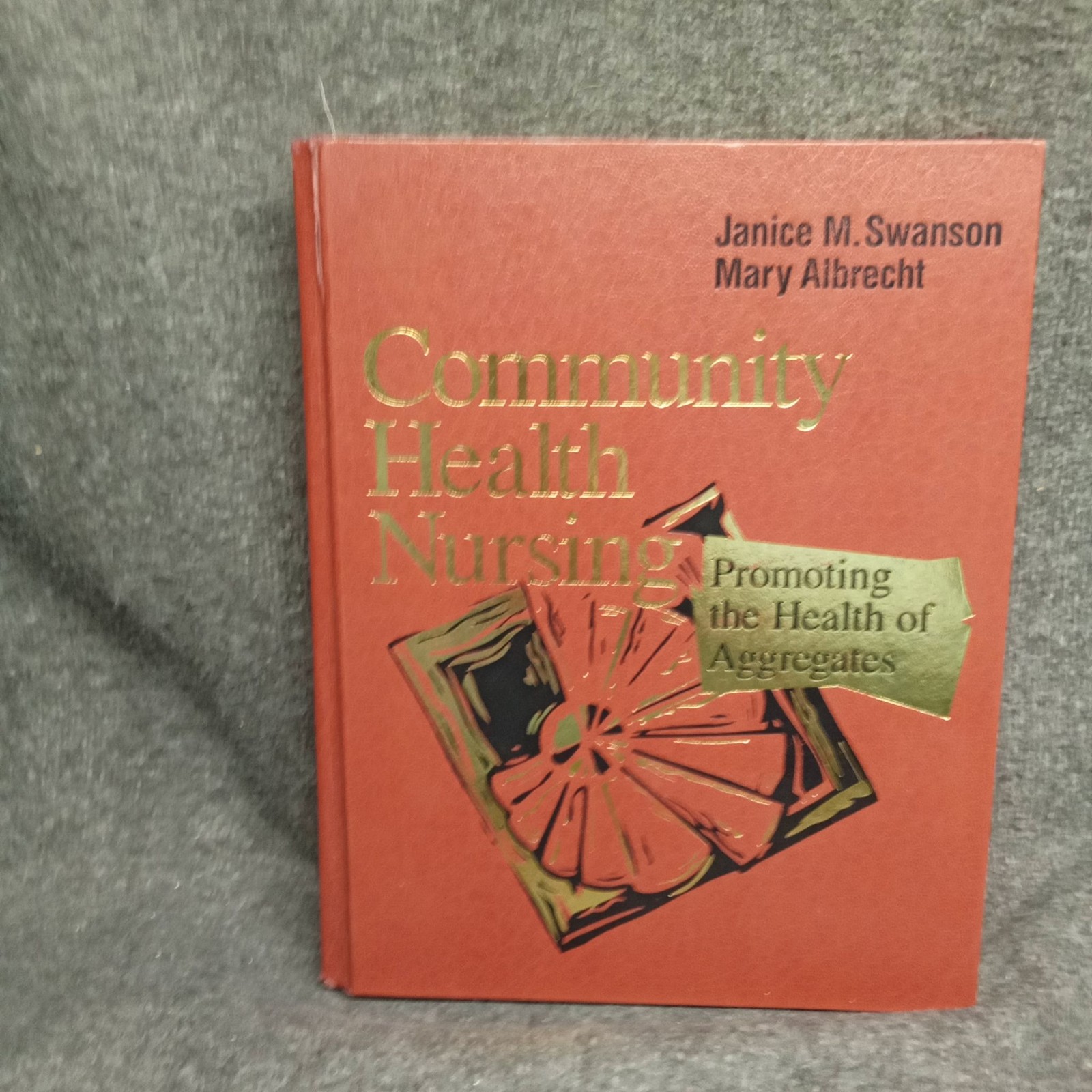 Community Health Nursing Promoting Health of Aggregates 1993 2nd Edition