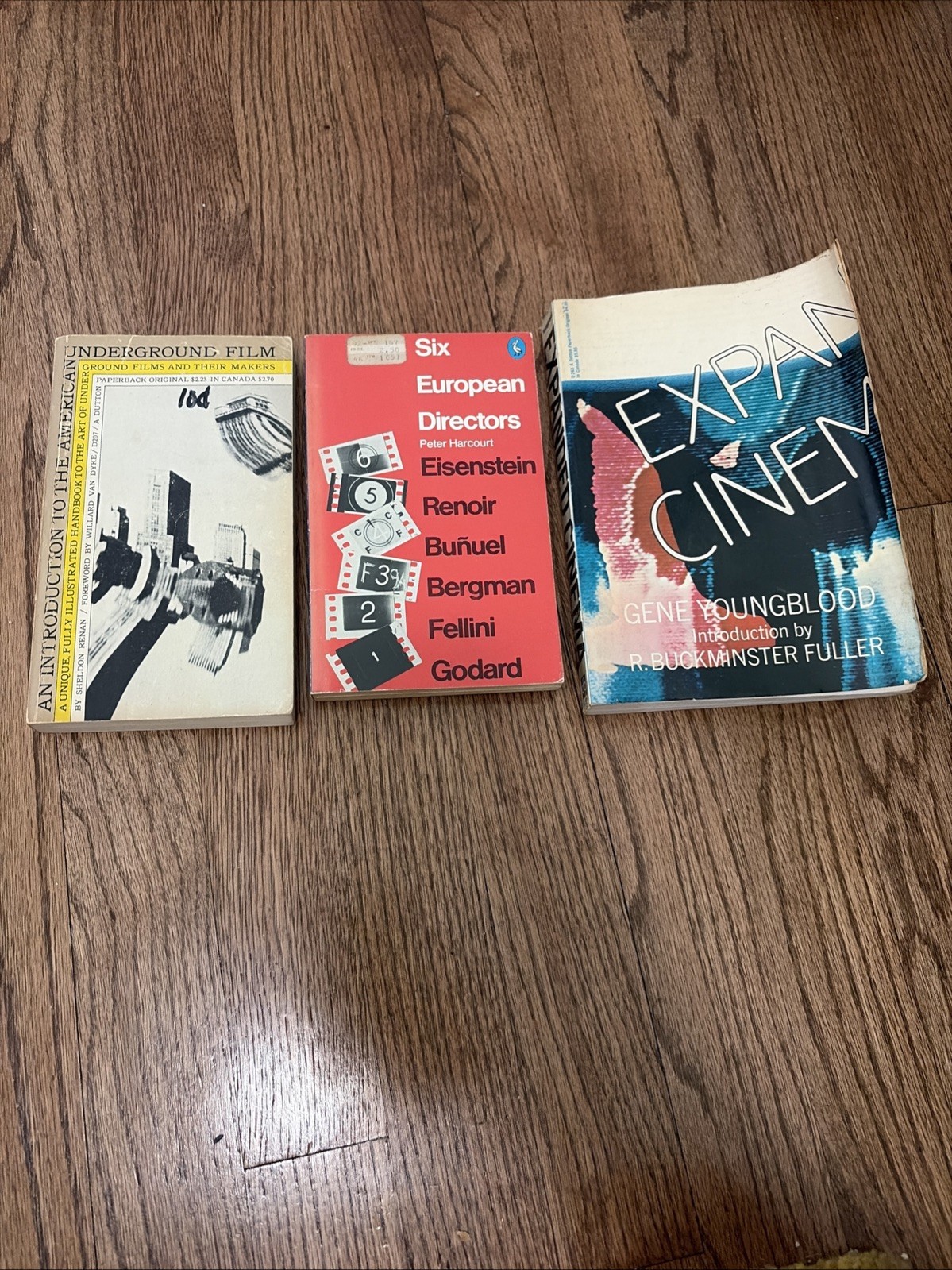 Film Studies 3 Book Lot: American Underground Film, Six European Directors