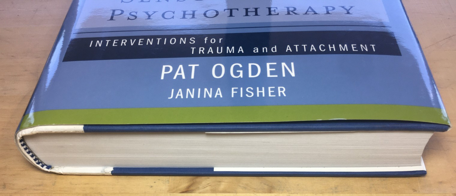 Sensorimotor Psychotherapy: Interventions for Trauma and Attachment by Pat Ogden