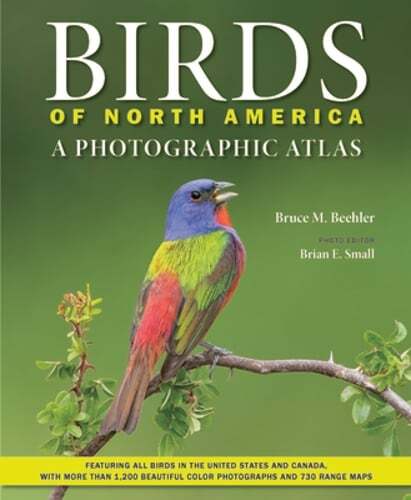 Birds of North America: A Photographic Atlas by Bruce M Beehler: New