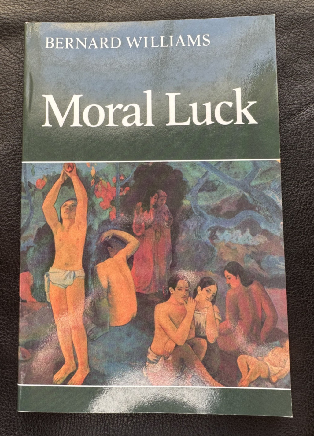 Bernard WILLIAMS / Moral Luck: Philosophical Papers 1973-1980 Cambridge 1999