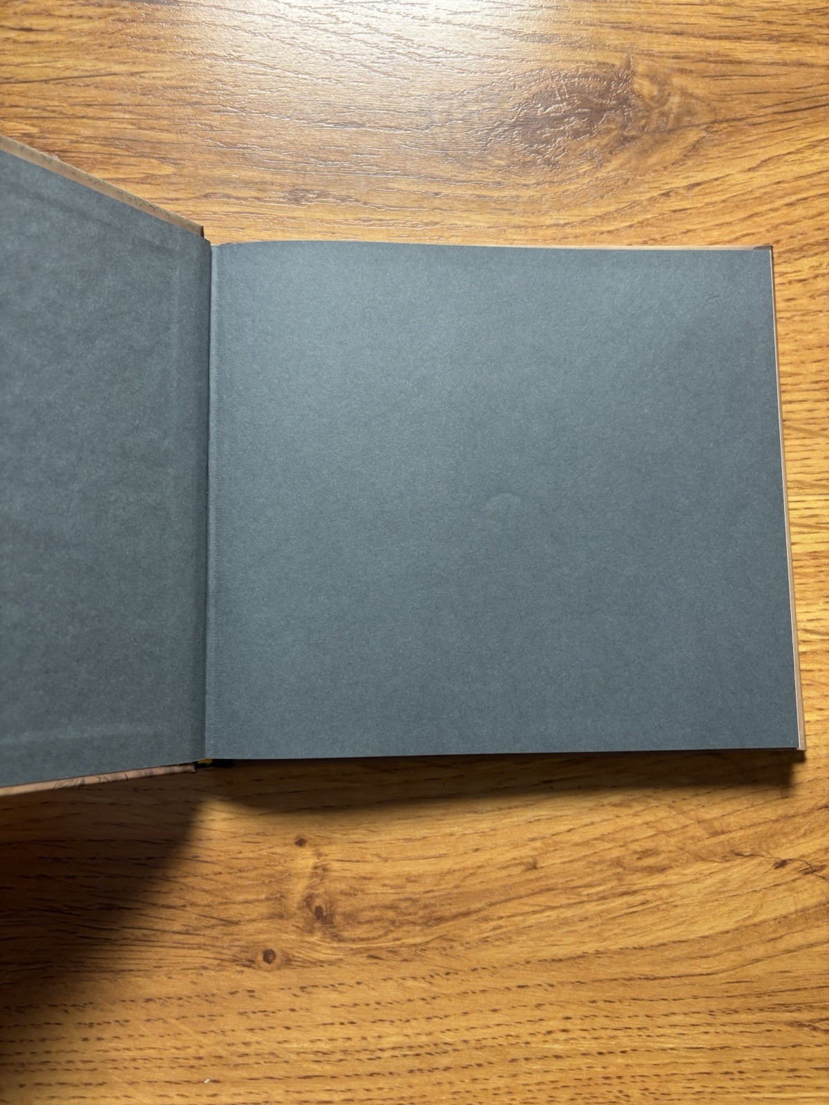 An Illustrated Book of Loaded Language: Learn to Hear What’s Left Unsaid (Bad Ar