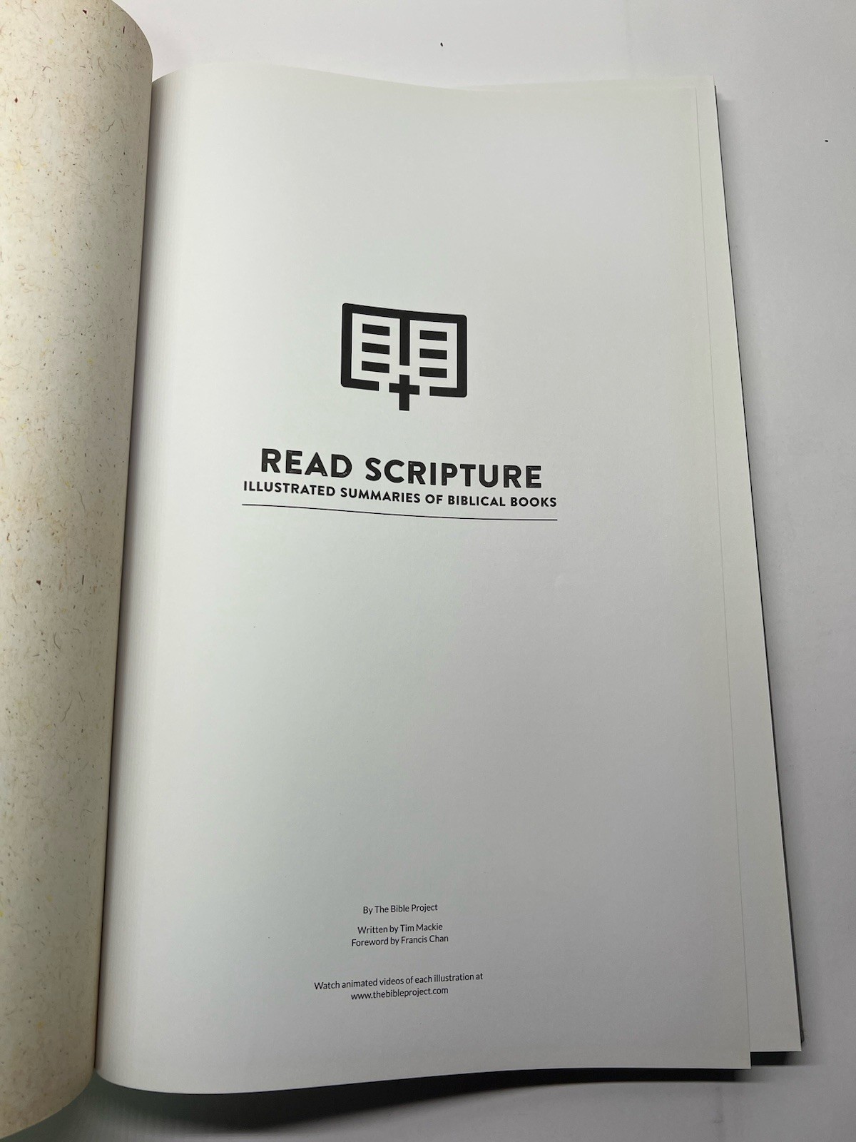 Read Scripture: Illustrated Summaries of Biblical Books (2018, Hardcover)