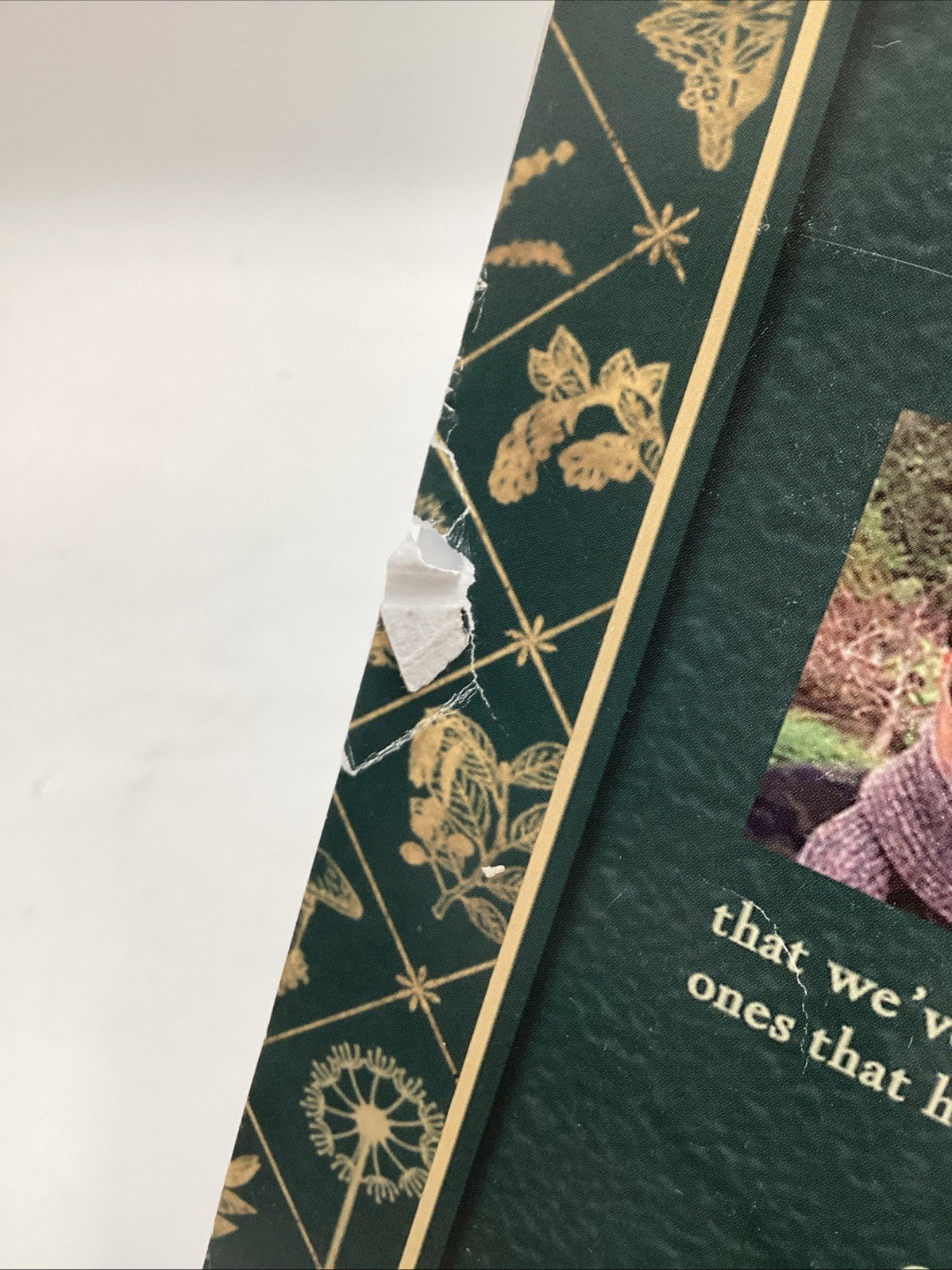 Lost Book Of Herbal Remedies The Healing Power Of Plant Medicine Apelian Davis