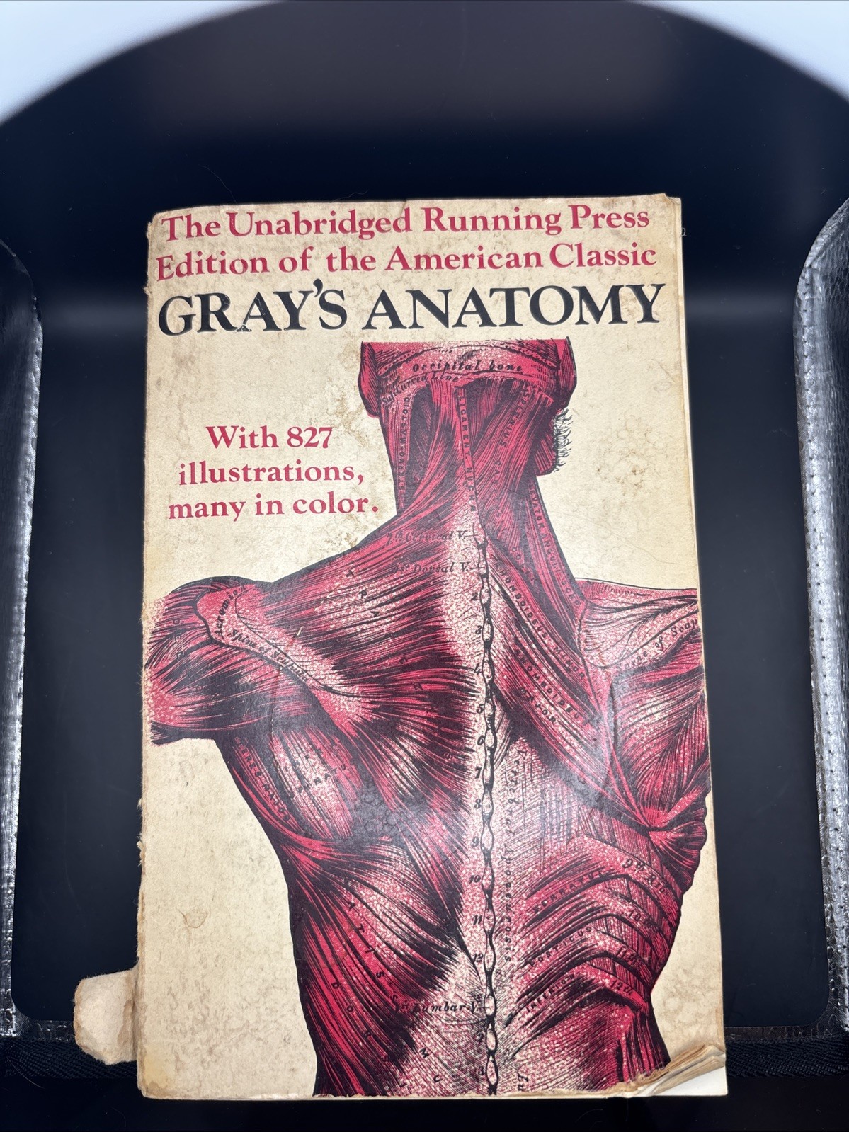 Grays Anatomy; the Unabridged Running Press Edition of the American Classic 1974