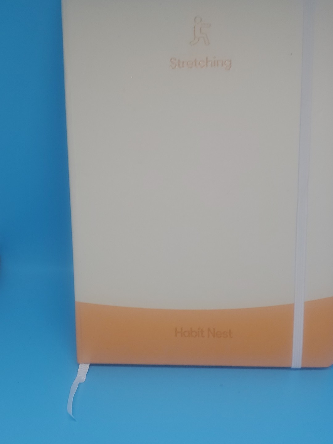 Stretching Sidekick Journal by Habit Nest Guided Stretching Volume 1