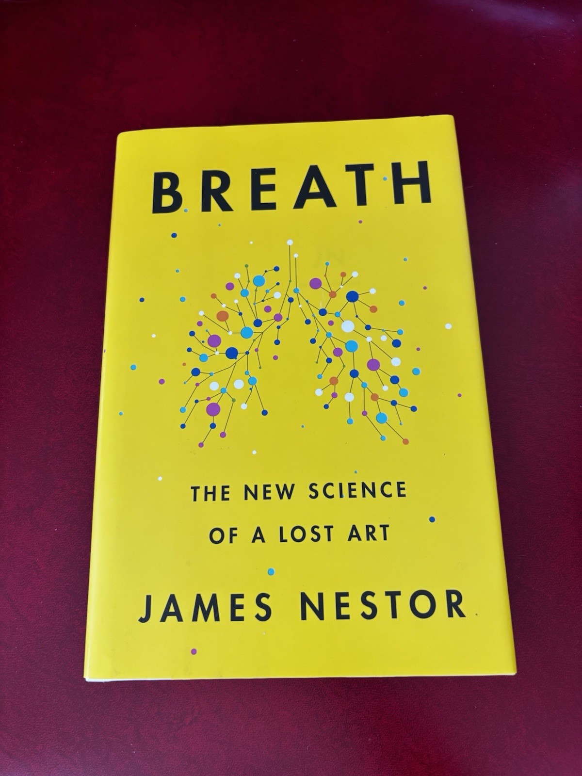 Breath : The New Science of a Lost Art by James Nestor (0735213615)