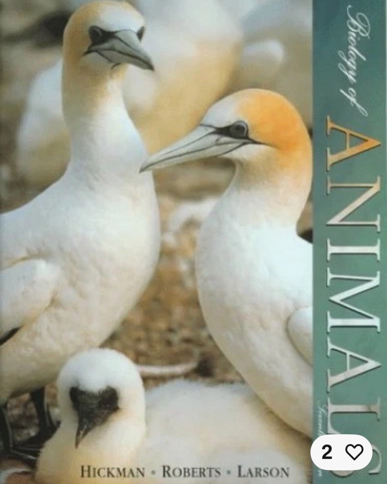 Biology of Animals – Paperback By Hickman, Cleveland P, Jr – VERY GOOD
