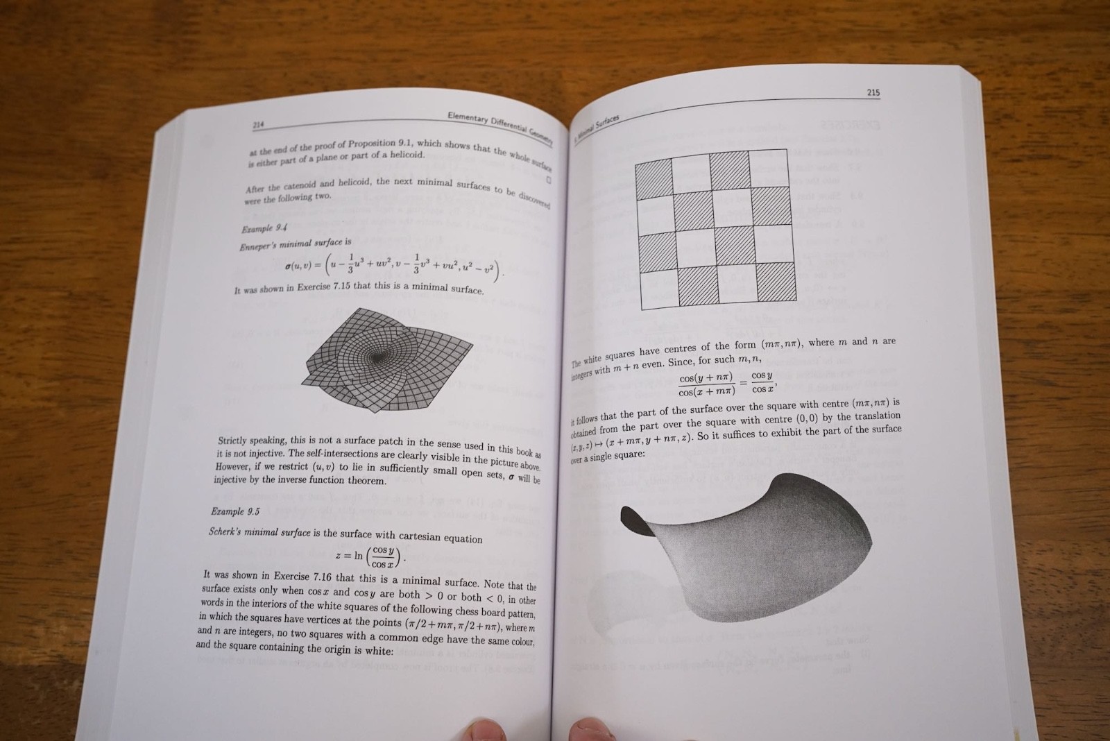 MATHS – Springer – Elementary Differential Geometry – Like New, light shelf-wear