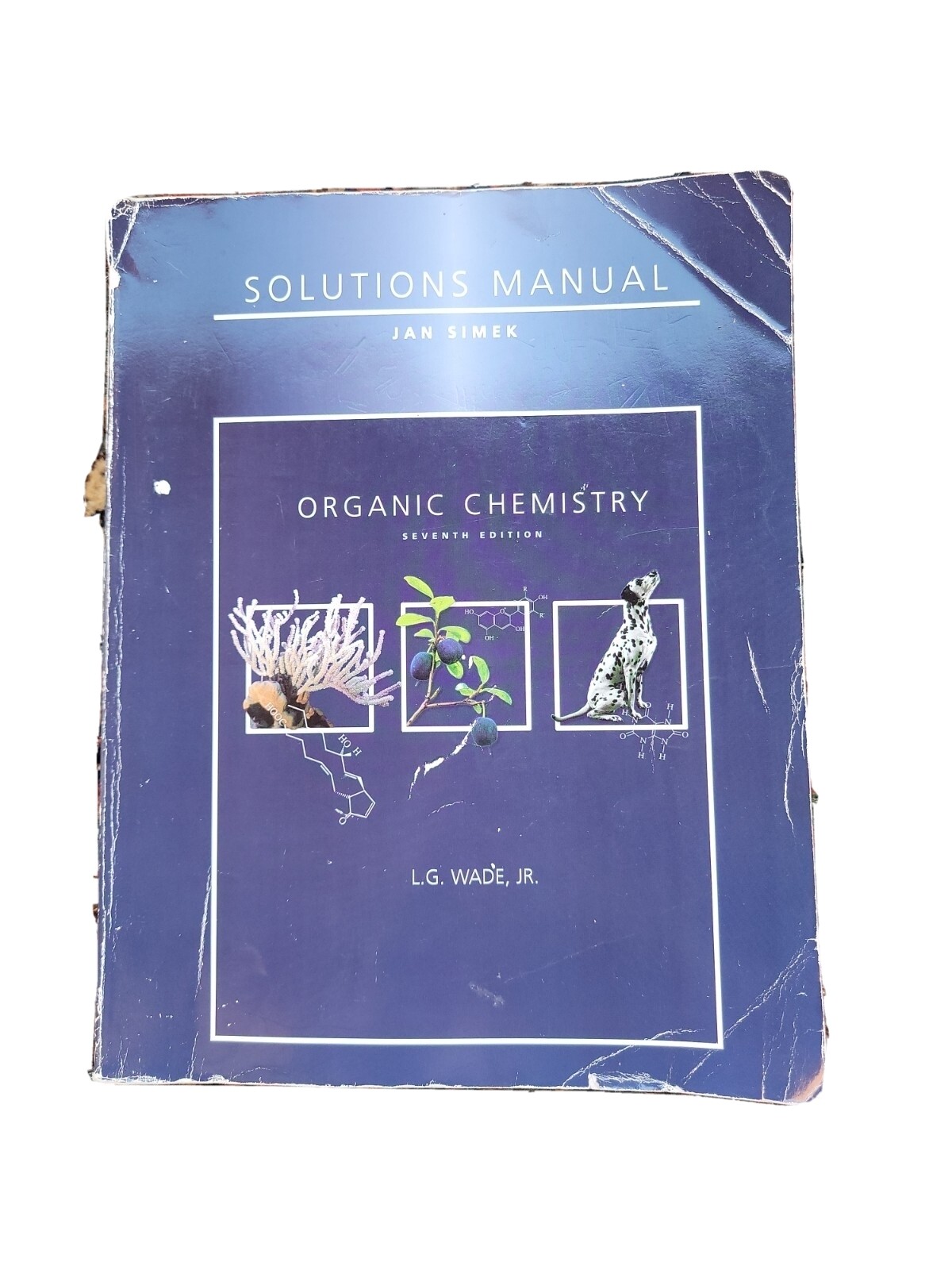 Student Solutions Manual for Organic Chemistry by Jan Simek and L.G. Wade, 7th e