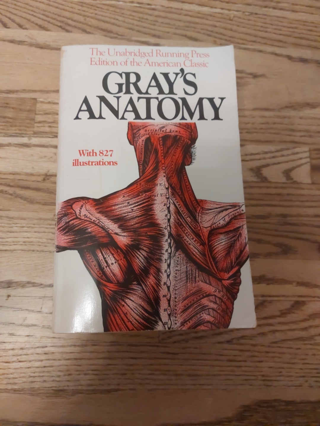 Gray’s Anatomy : The Unabridged Running Press Edition of the American Classic by