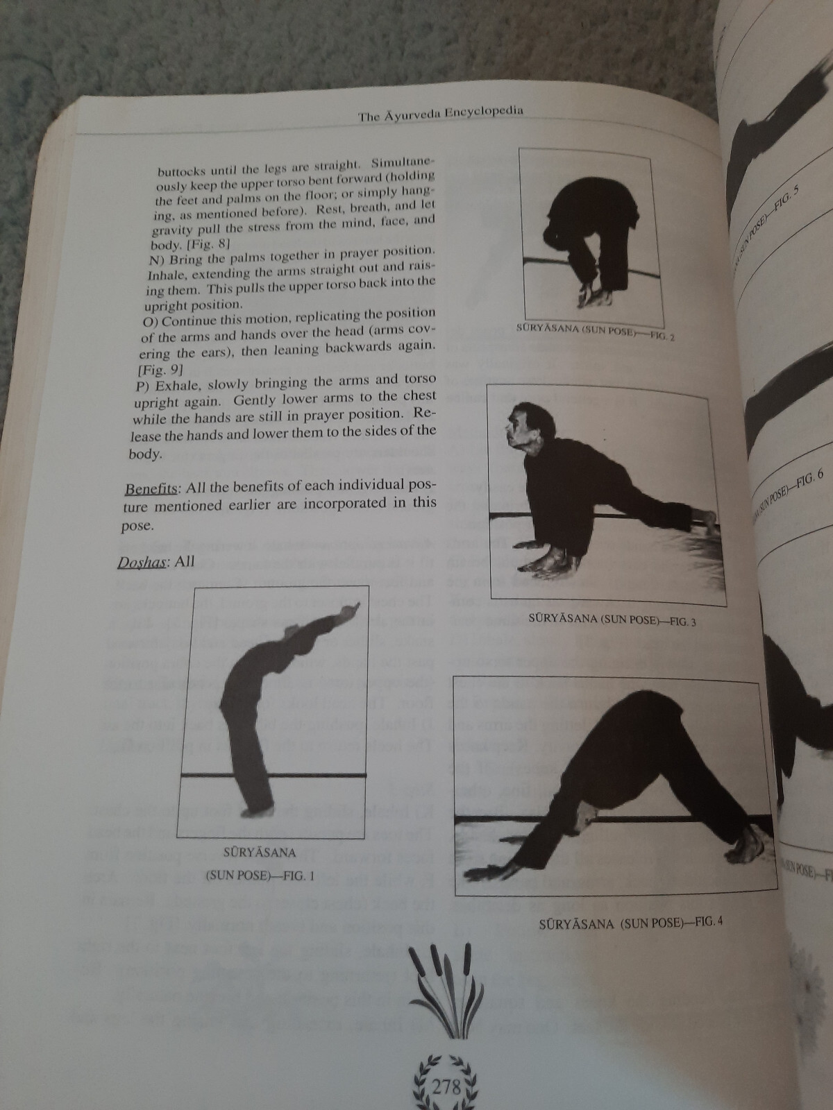 The Ayurveda Encyclopedia: Secrets Healing Longevity. Swami Sada Shiva Tirtha