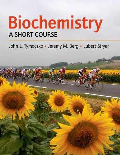 Biochemistry: A Short Course – Paperback, by Tymoczko John L.; Berg – Acceptable