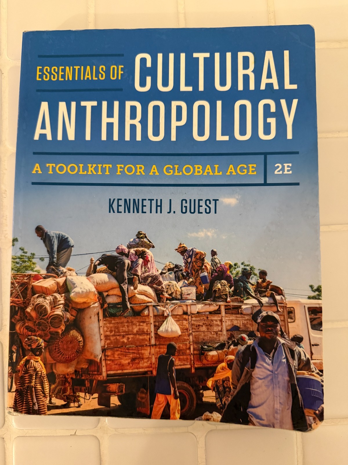 Cultural Anthropology : A Toolkit for a Global Age by Kenneth J. Guest (2016,…