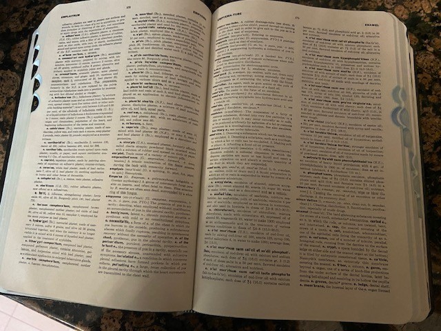 Steman’s Medical Dictionary Illustrated 17th Revised Edition 1949