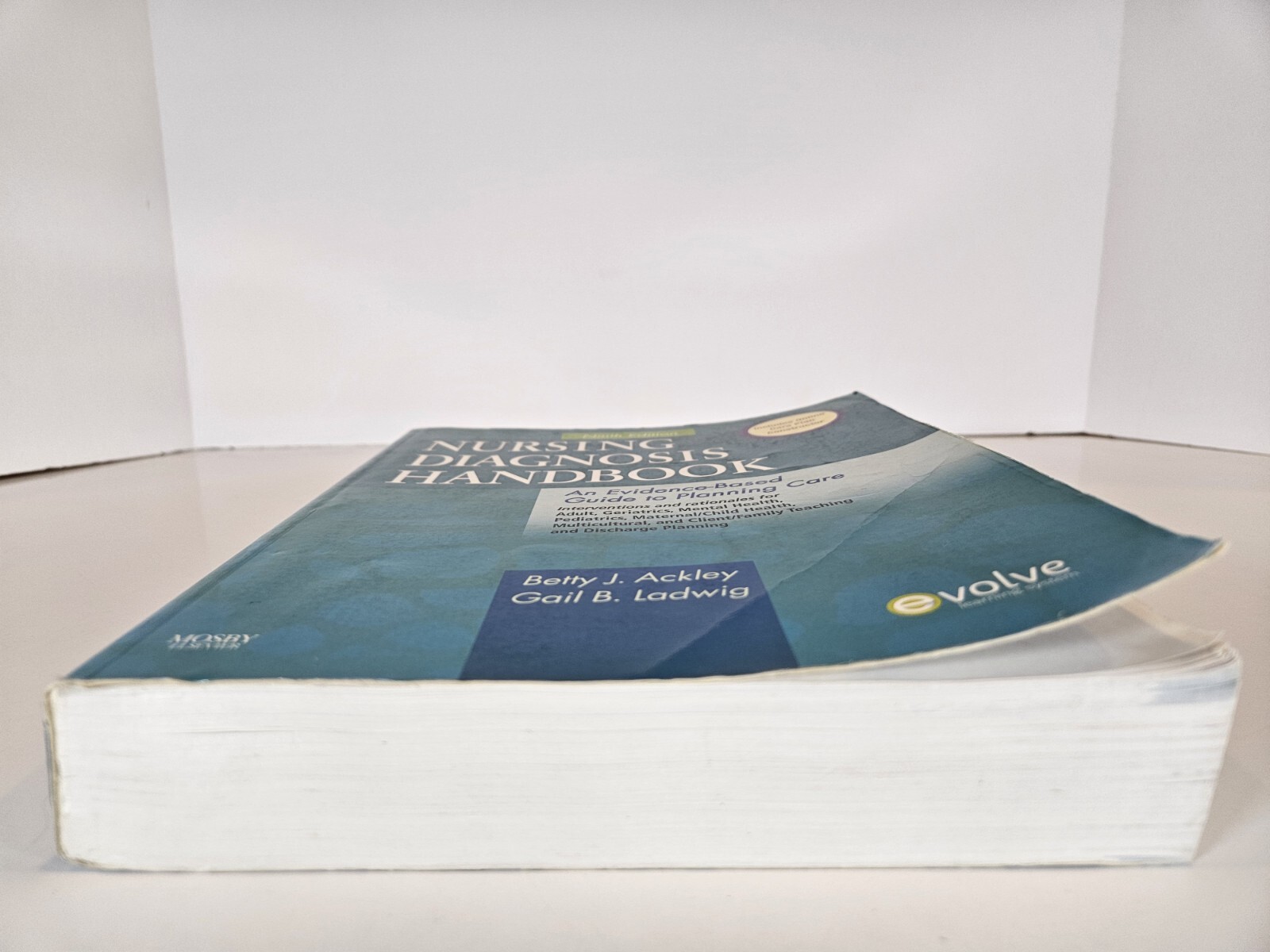 Nursing Diagnosis Handbook : An Evidence-Based Guide to Planning Care by Gail…