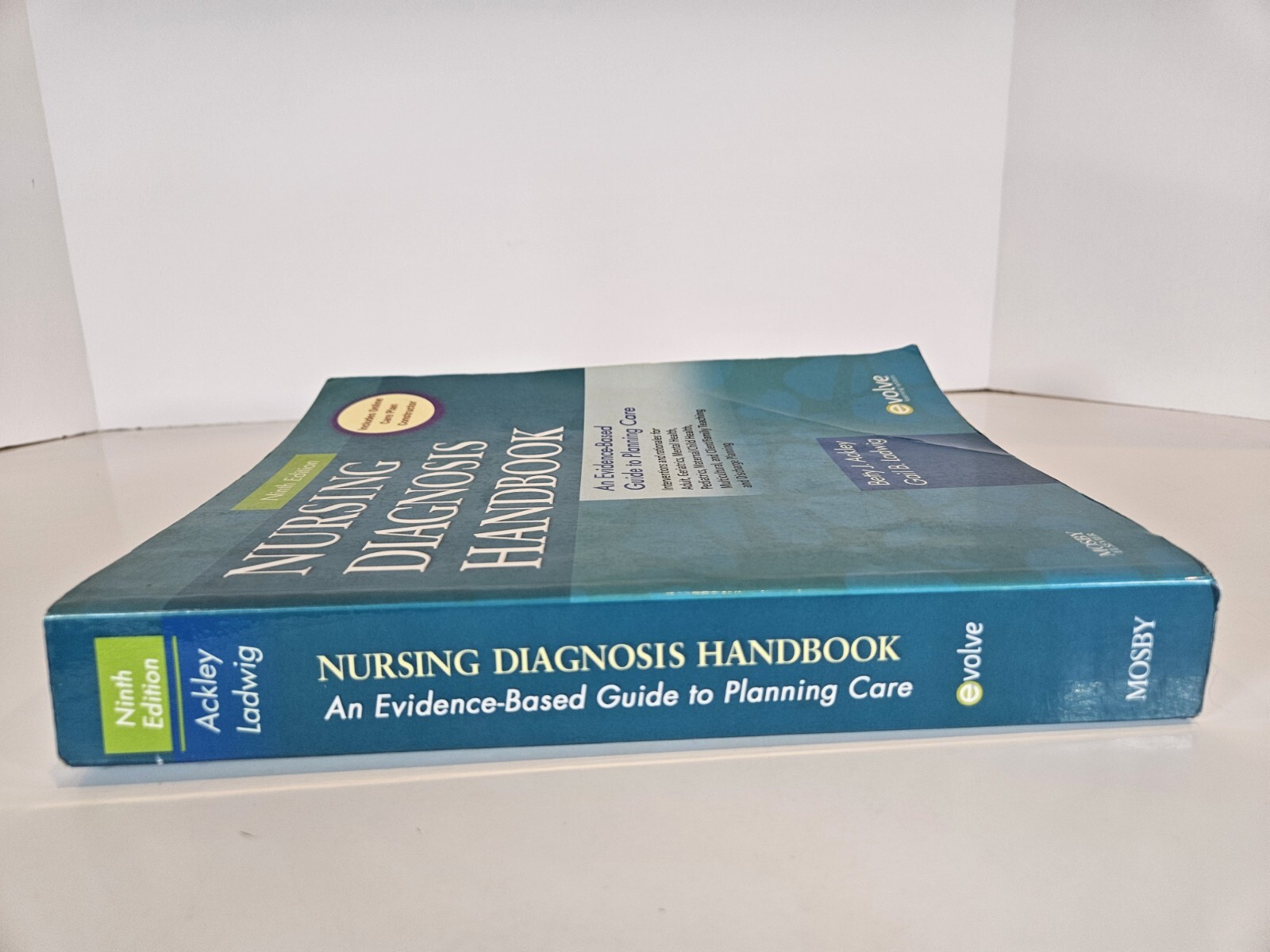 Nursing Diagnosis Handbook : An Evidence-Based Guide to Planning Care by Gail…