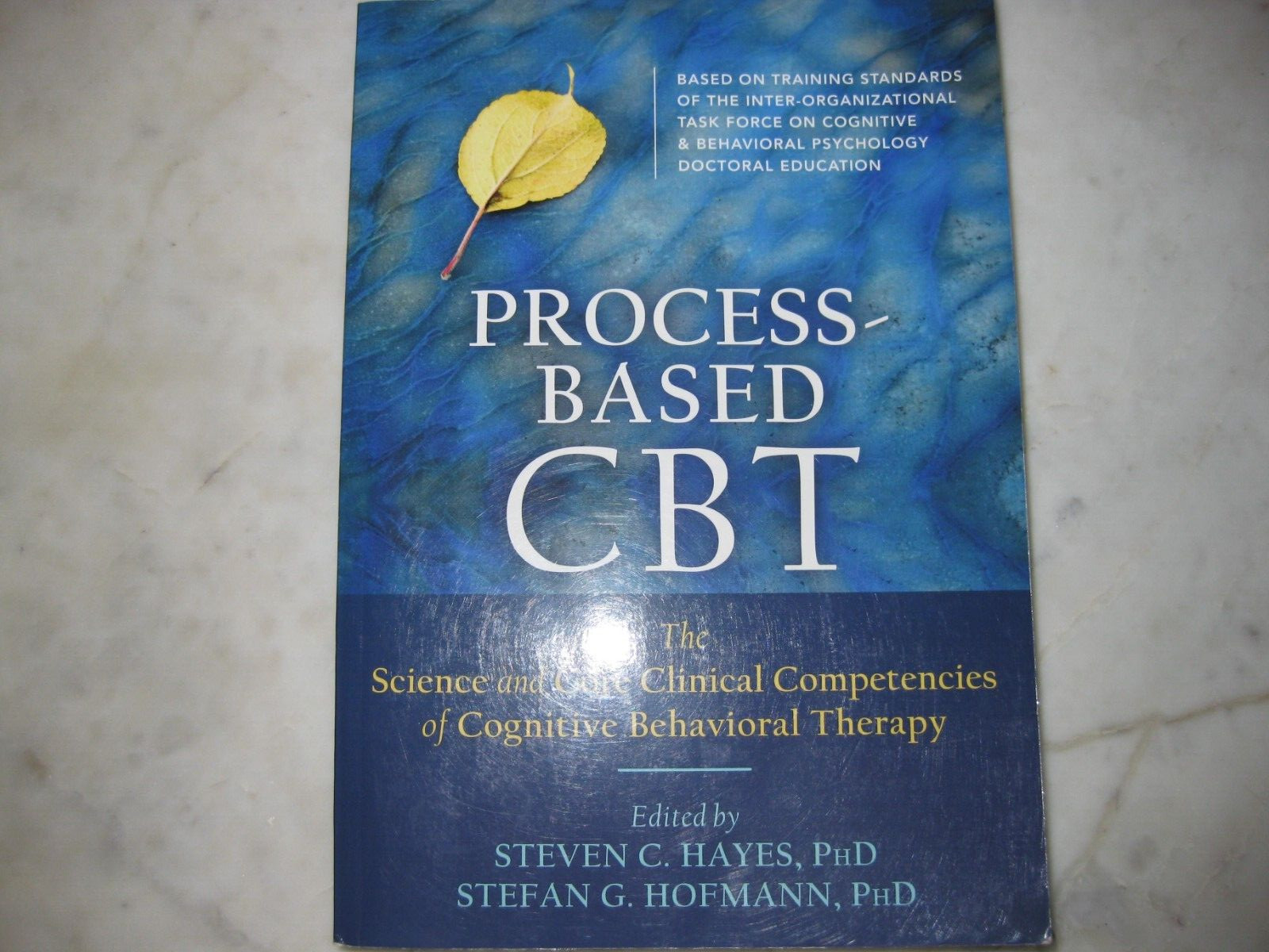 Cognitive Behavior Therapy : Basics and Beyond by Judith S. Beck