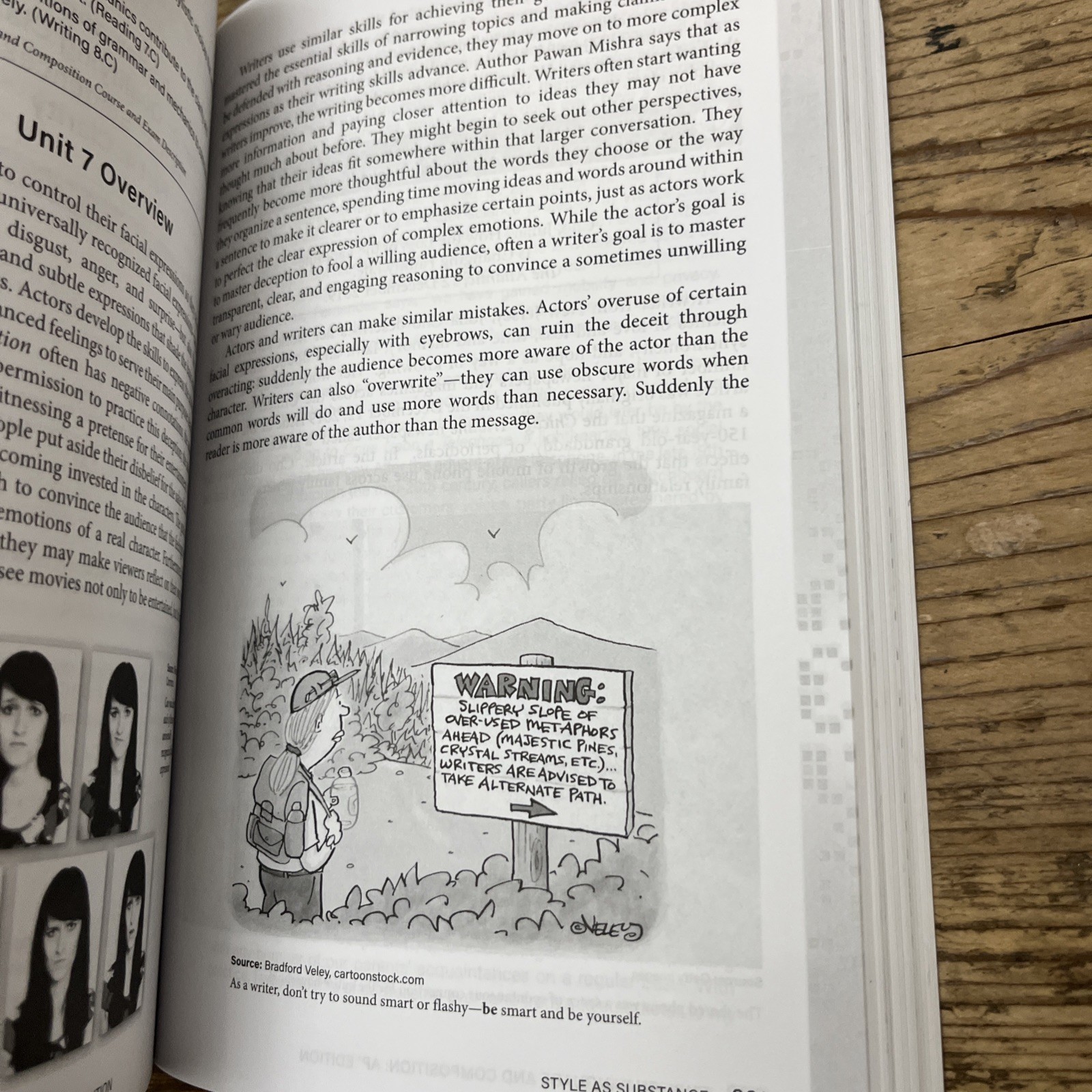 Advanced Placement English Language and Composition by Lauren Peterson, Brandon