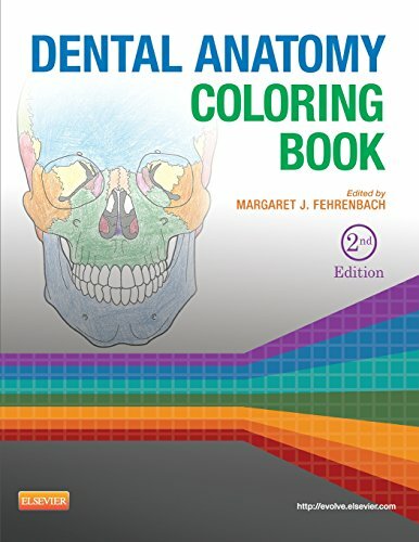 Dental Anatomy Coloring Book (2013, Paperback)