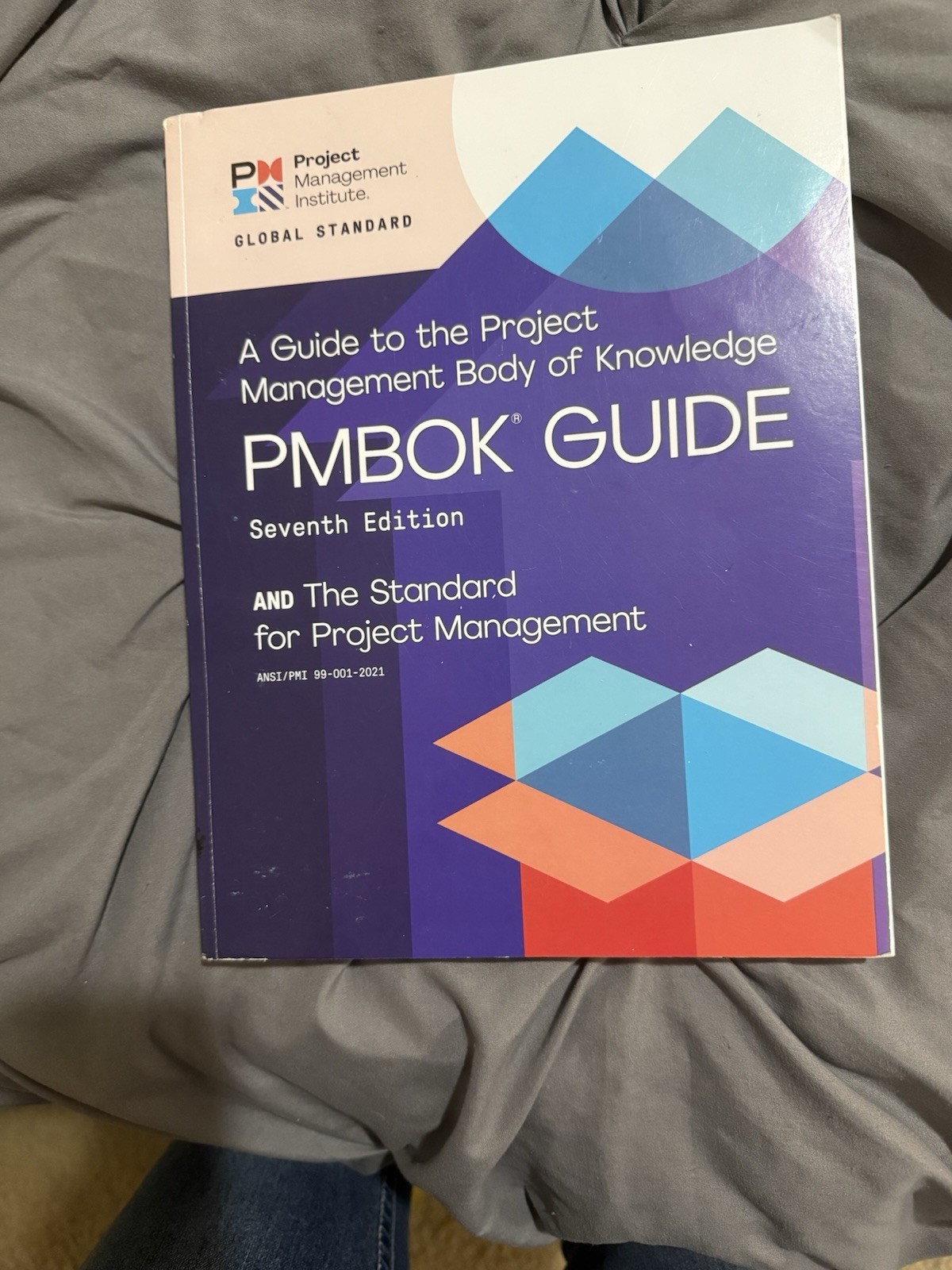 Project Management Institute PMBOK Guide Seventh Edition Paperback 2021