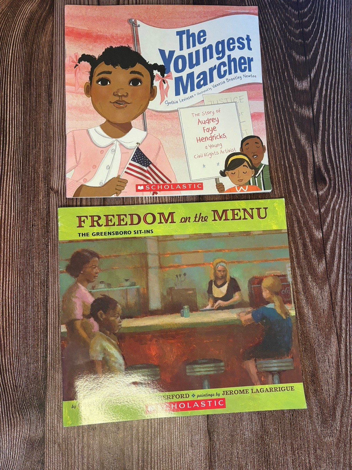 Homeschool/Montessori Social Studies History Book Lot of 26 Picture and Chapter