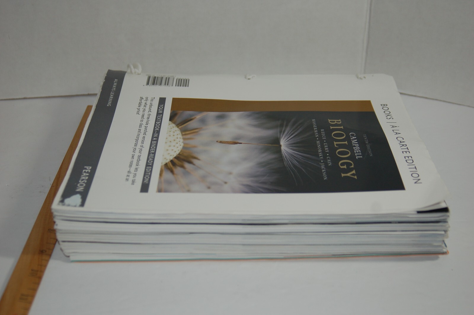Campbell Biology 10th Edition Binder-ready Looseleaf Textbook Pearson A La Carte