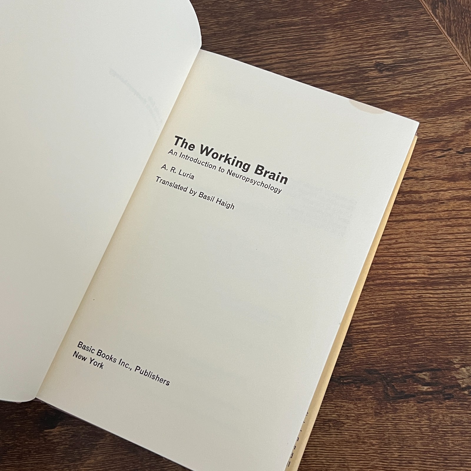 The Working Brain Aleksandr R. Luria 1973 Hardcover HCDJ Neuroscience Psychology
