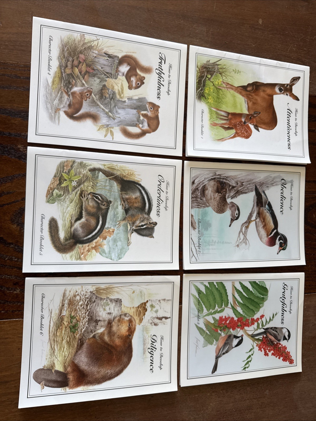 IBLP Character Booklet 1-6, How To Develop Set